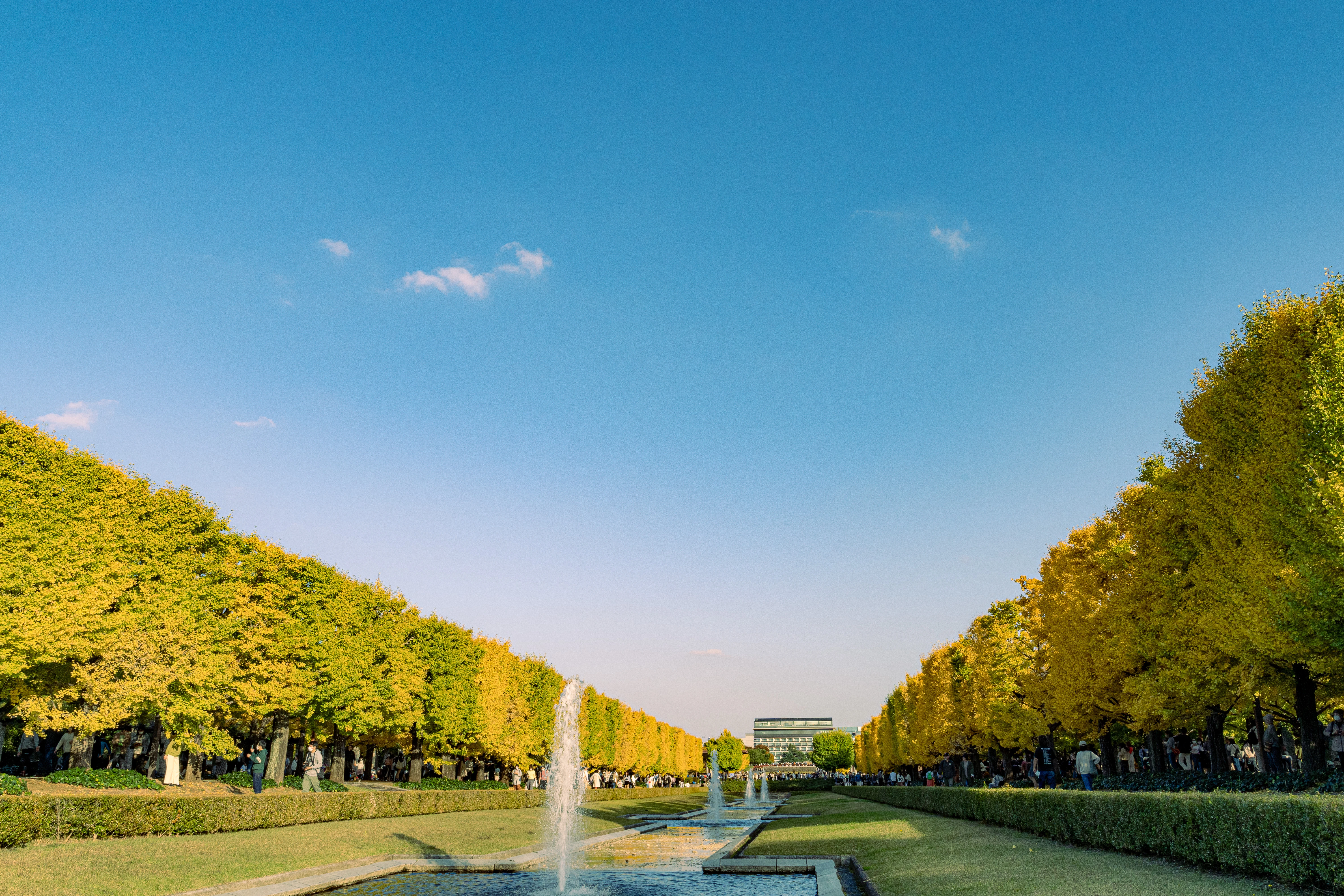 Golden Autumn Avenue with Fountain Under Clear Blue Skies